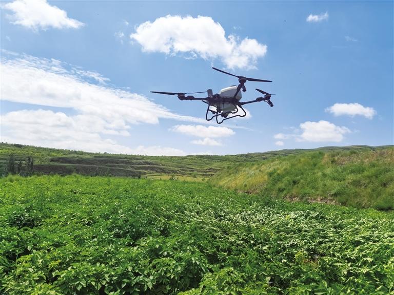 科技耕沃土“低空”兴“三农” 兰州以智慧装备绘就农业高质量发展新图景