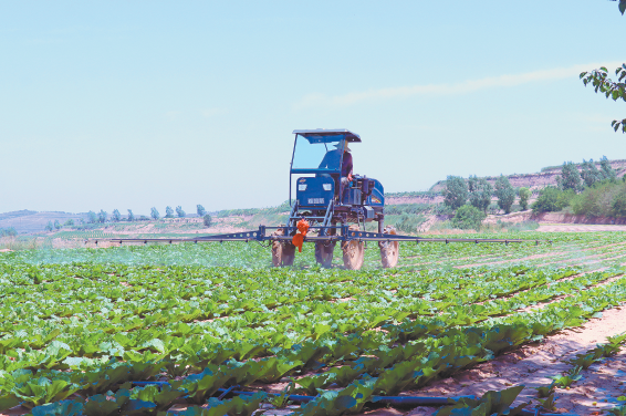【图片新闻】定西市安定区高原夏菜种植基地高效开展机械化作业