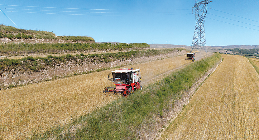 ����ȫ����չС���ո��