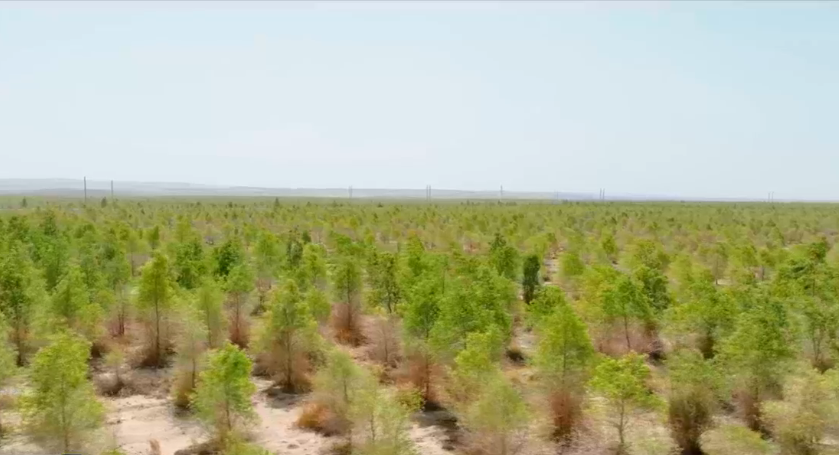 ����ʡ����������������������̬����