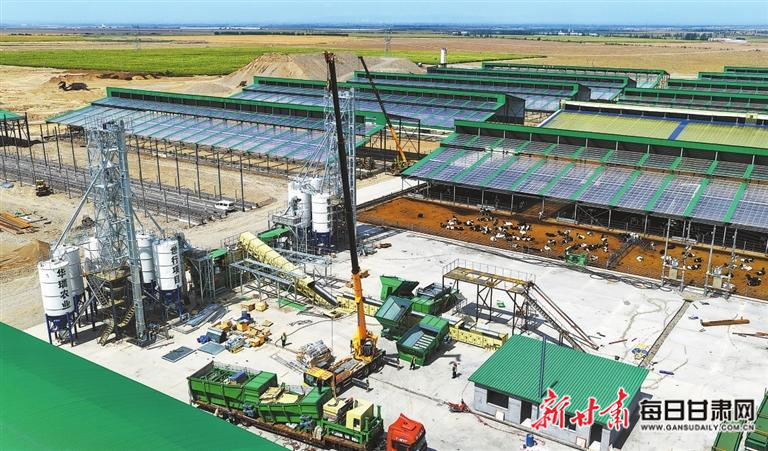 【图片新闻】在甘肃华瑞农业公司 工人加紧建设低碳智慧奶牛养殖设施