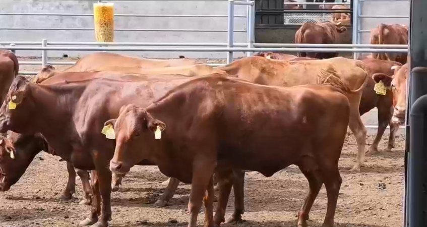 ƽ����ţ��ҵ������