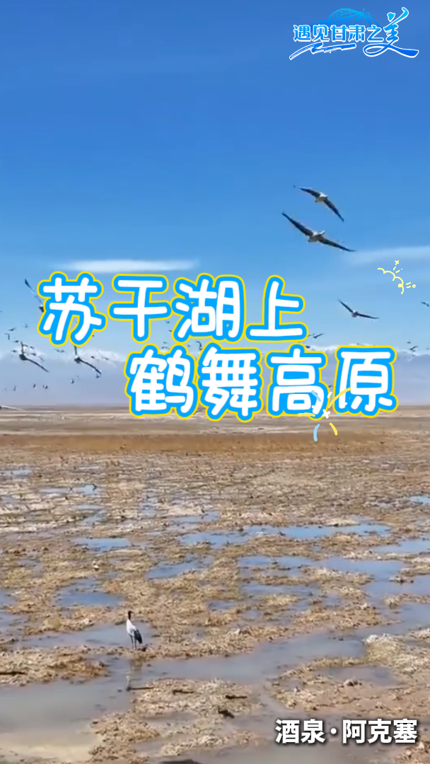 �ոɺ��� �����ԭ