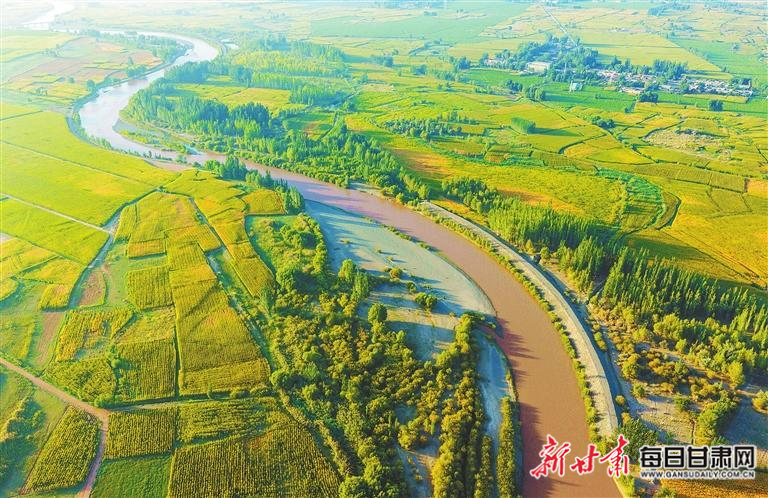 【牢记嘱托 奋力谱写中国式现代化甘肃篇章】沃野展宏图 绘就好“丰景”——我省实干笃行推进乡村全面振兴