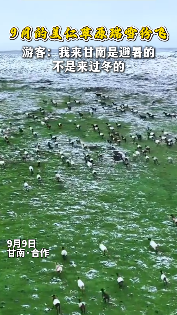 9�µ����ʲ�ԭ��ѩ�׷�