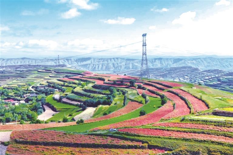 兰州市以示范带建设为抓手打造宜居宜业和美乡村