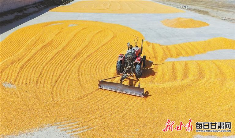 【图片新闻】陇原金秋