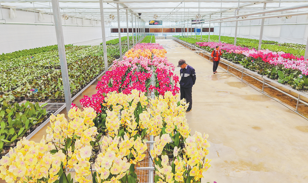 ͨμ���׸�����������������ʽ��԰