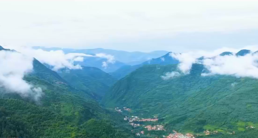 ��������������淨